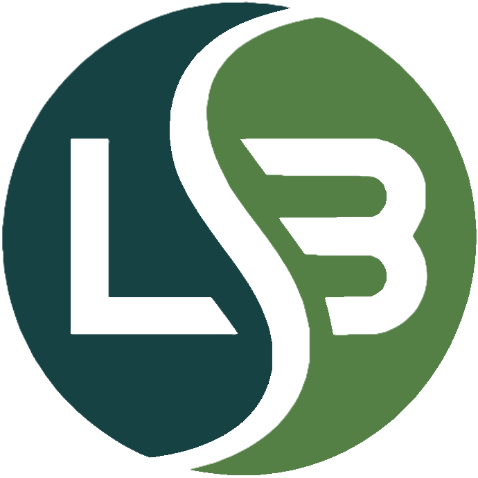 LB Integrated Solutions | IT and Marketing Consultancy Melbourne
